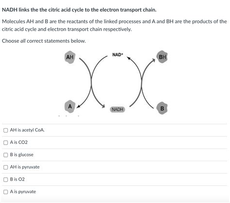 Solved NADH links the the citric acid cycle to the electron | Chegg.com