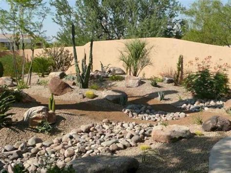 Check this out Shrub Landscaping Ideas | Arizona backyard landscaping ...