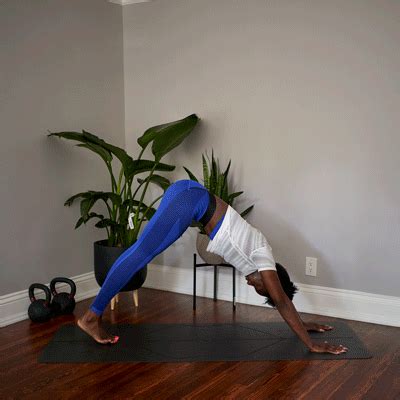 Plank to Downward Dog: 5 Awesome Ways to Transition Between Them - Yoga ...