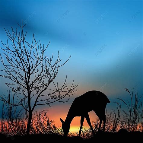 Silhouette View Of A Deer Eating Grass Illustration Wildlife Eating Photo Background And Picture ...