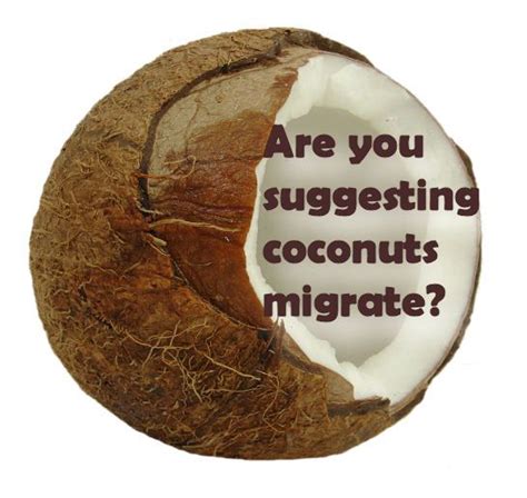 "Are you suggesting coconuts migrate?" | Monty python, Monty python flying circus, Coconut