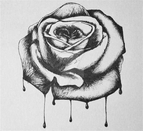 bloody rose by Tarin-Moore on DeviantArt