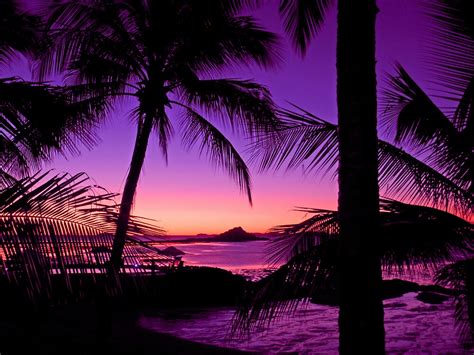 "Tropical Island Sunset" by Chris Kean | Redbubble