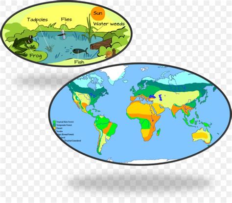 World Map Biome Science Climate, PNG, 1393x1226px, World, Area, Biogeography, Biologist, Biology ...