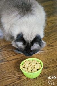 Catnip Cat Treats Recipe - Mess for Less