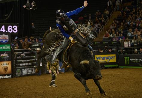 CHECK IT OUT: Professional Bull Riding takes over Madison Square Garden ...