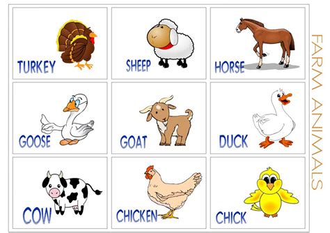 Farm Animal Flash Cards Printable | Animal flashcards, Farm animals ...