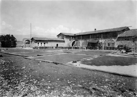 General view of the soap factory · Archaeological Archives