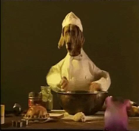 Dog Cooking GIF - Find & Share on GIPHY