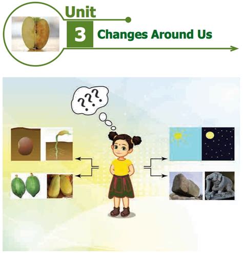 Changes Around Us - Term 2 Unit 3 | 6th Science