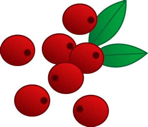 Lingonberry clipart 20 free Cliparts | Download images on Clipground 2022