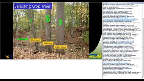 An introduction to silviculture - YouTube