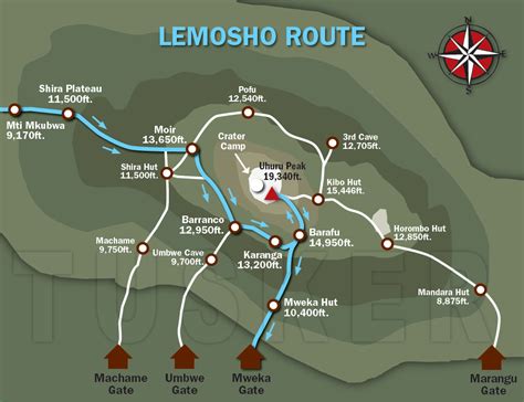 Lemosho Route - lemosha route of kilimanjaro mountain