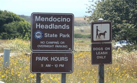 Mendocino Headlands Beaches in Mendocino, CA - California Beaches