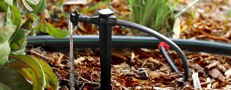 Low-Volume Irrigation Systems | Rain Bird Drip Irrigation Products | Rain Bird