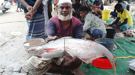 Bangladesh's aquaculture triumph: three leading fish species | Seafood ...