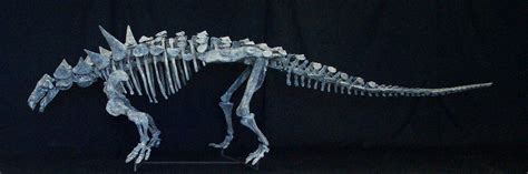 Animantarx Nodosaur Skeleton Replica | DINOSAURS ROCK SUPERSTORE ...