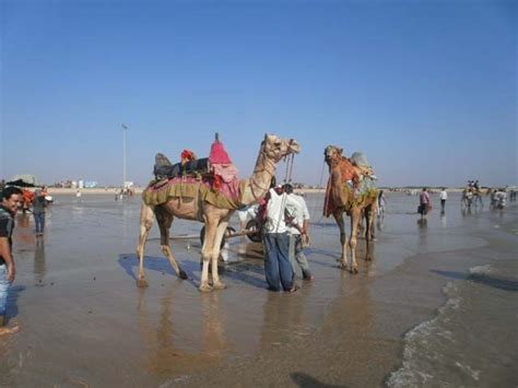 Kutch Tent City Tour Package (177617),Holiday Packages to Kutch, Bhuj ...