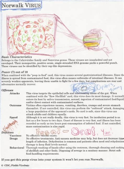 Paramyxovirus Information