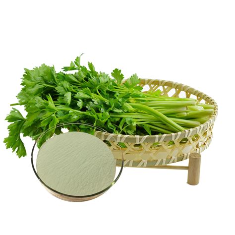 Natural Celery Powder for Sale - Longze Biotechnology