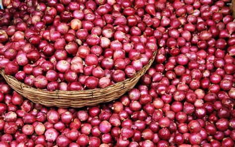 A Grade Maharashtra Red Onions, Packaging Size: 50 Kg, Onion Size ...