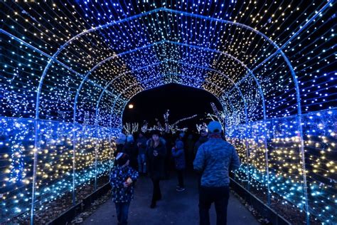 Bright Lights Windsor Transforms Jackson Park Into A Festive Wonderland