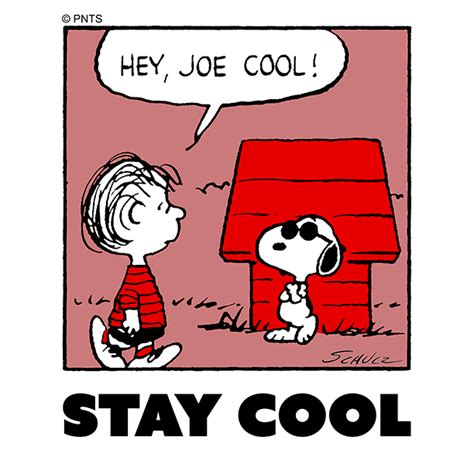 PEANUTS on Twitter: "Stay cool 😎"