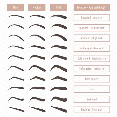 Eyebrow shapes. Various brow types. | Types of eyebrows, Eyebrow ...