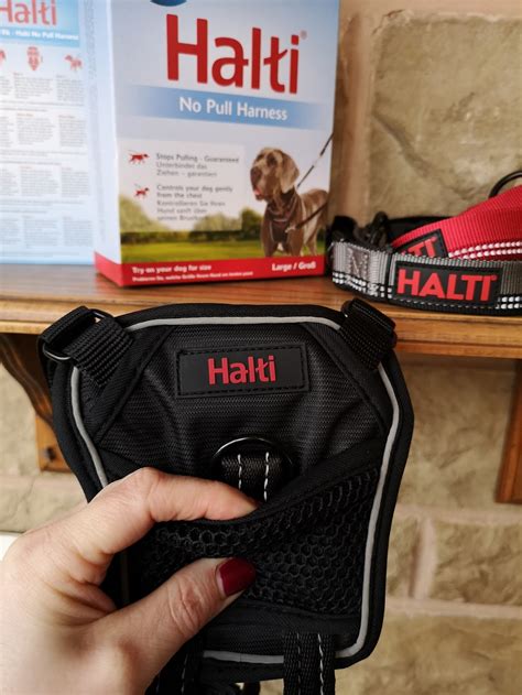 HALTI No-Pull Harness Review: Does It Actually Stop Dogs Pulling?