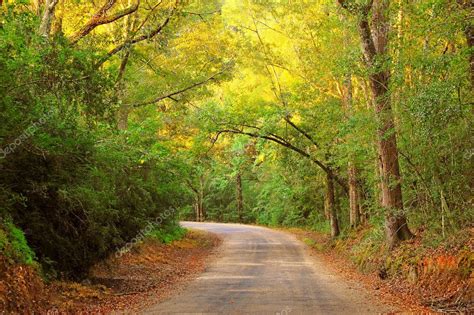 Scenic Country Road — Stock Photo © bluedog1us #3951698