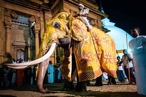 The Duruthu Perahara and Festival - Kelaniya Raja Maha Viharaya