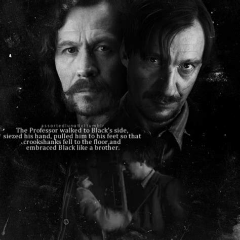 78 best images about Harry Potter quotes on Pinterest | Remus lupin ...