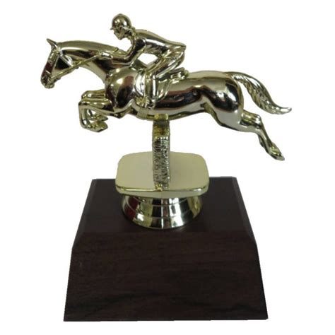 Buy Custom Made Trophies | Award Engravers | NZ