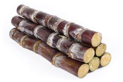 Fresh Purple Sugarcane Sticks (7lbs) : Amazon.in: Grocery & Gourmet Foods