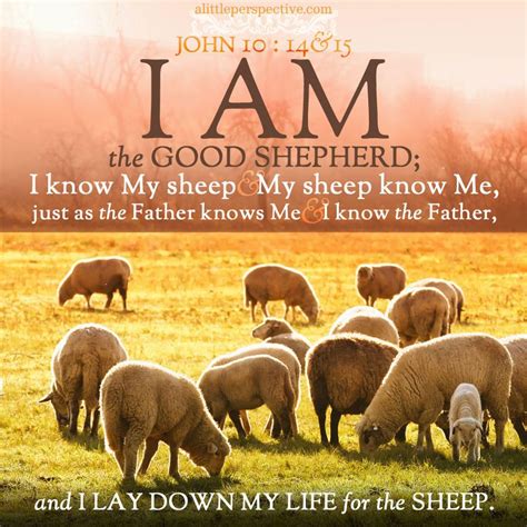 "I am the Good Shepherd; I know My sheep and My sheep know Me ..." John ...