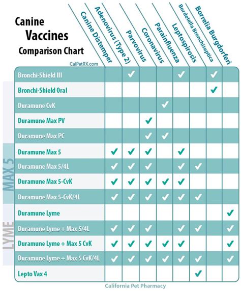 What Is The Puppy Vaccination Schedule