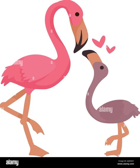 flamingo mother and baby Stock Vector Image & Art - Alamy