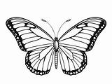 Monarch Butterfly Coloring Magic  Page sketch template
