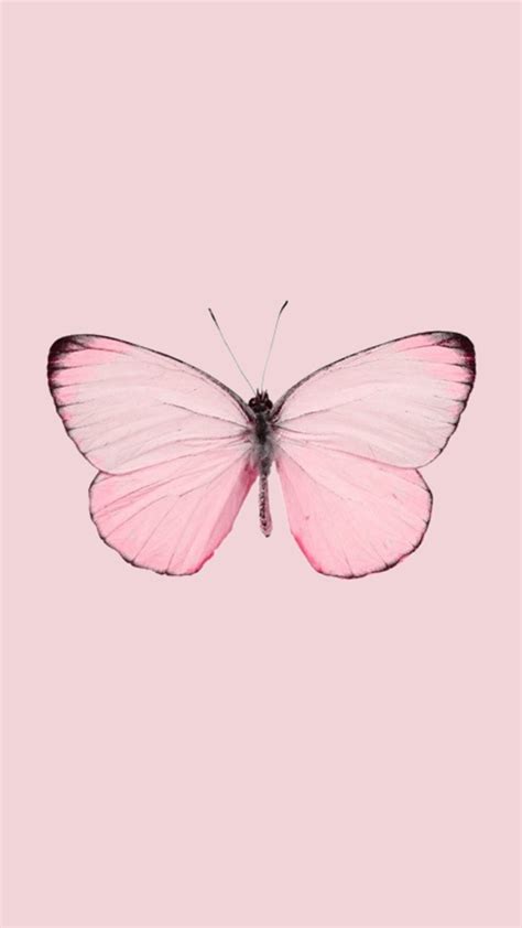 Artsy Aesthetic Butterfly Wallpaper Laptop - img-nincompoop