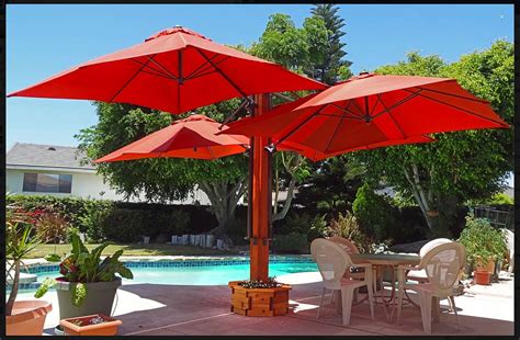 An Umbrella Tree provides shade as well as visual interest. | Beer garden ideas, Diy pergola ...