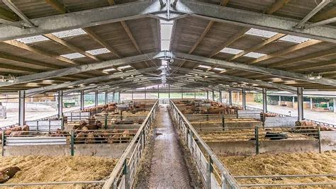 How To Design A Cattle Shed - Design Talk