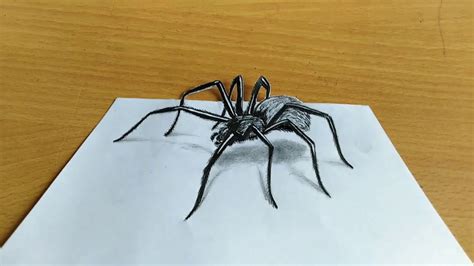 How to Draw 3D spider | how to draw 3D spider on paper | pencil sketch spider. - YouTube