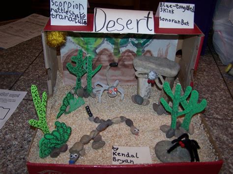 Rainforest Project- Diorama examples/how-to - Class 406!