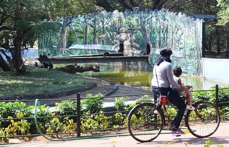 Vandalur zoo gets ready to beat the summer heat - The Hindu