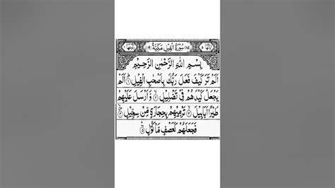 Surah Al Feel Tilawat Surah Fil Recitation surah quran tilawat youtube mishary