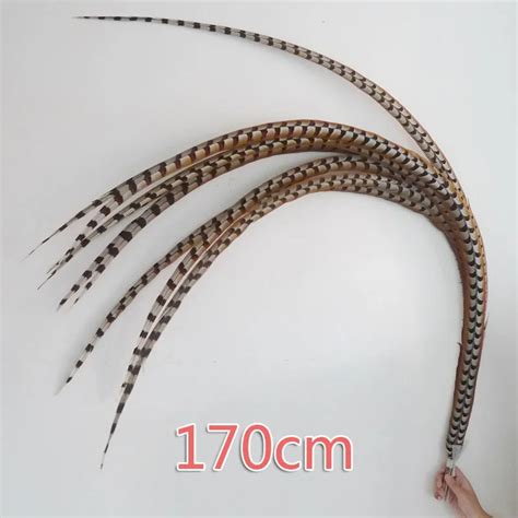 Factory Price 5pcs/lot 170cm Natural Pheasant Tail Feathers Reeves Pheasant Feather For Stage ...