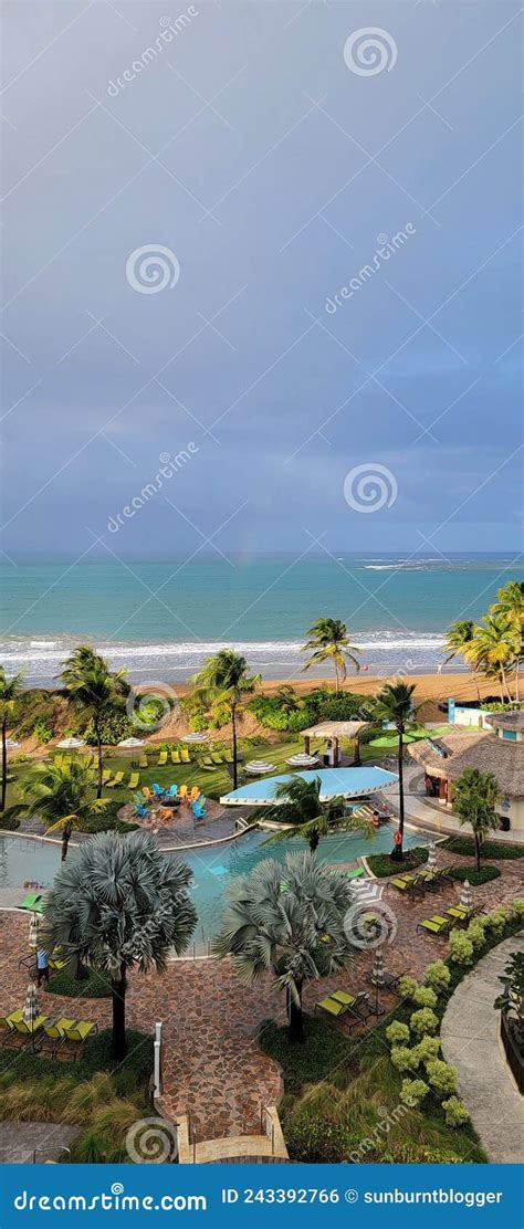 Margaritaville Resort Beach Puerto Rico Stock Photo - Image of mountains, palm: 243392766