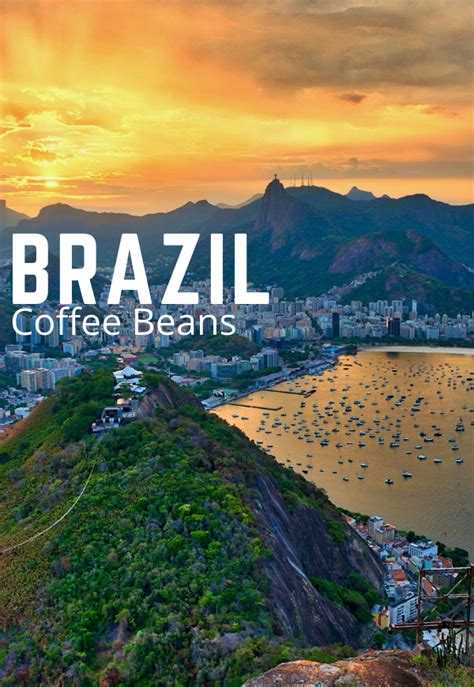 Brazil Santos Coffee Beans - Light-Medium Roast, Whole or Ground