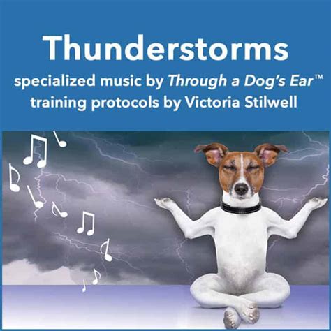 Thunderstorm Anxiety Calming Music