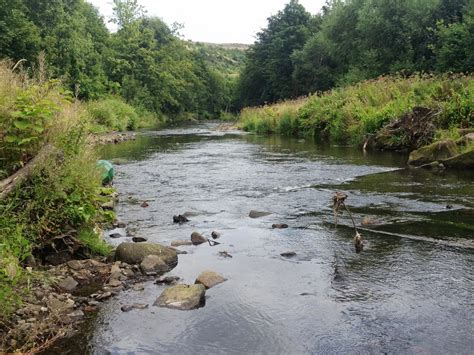 Sheffield Fly Fishing Blog - River Don